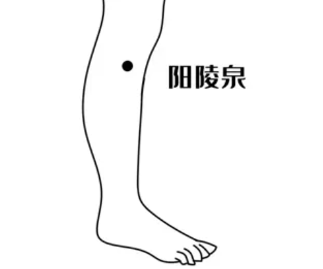 17387158713148.png 17387158713148.png