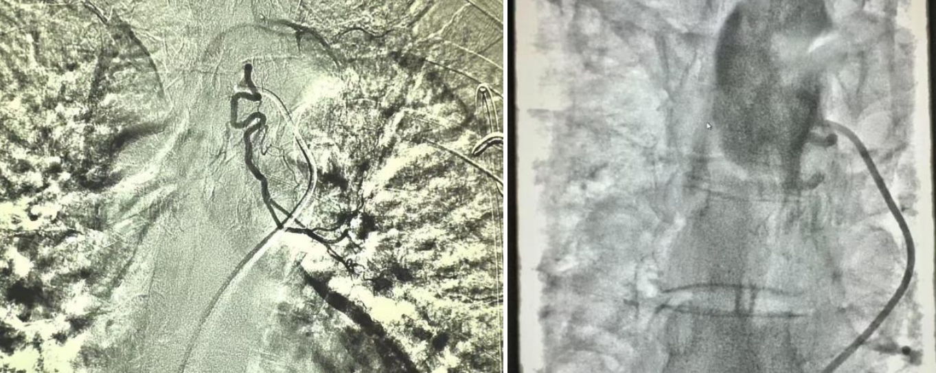 17403601749020.png 17403601749020.png