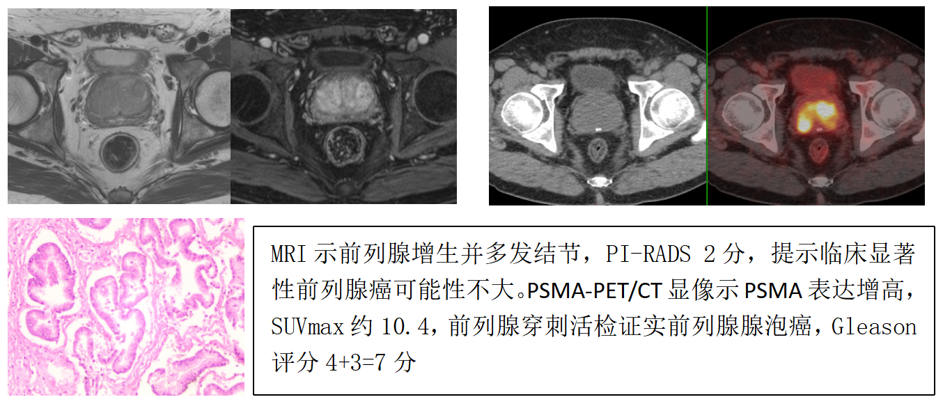 17407037617778.png 17407037617778.png