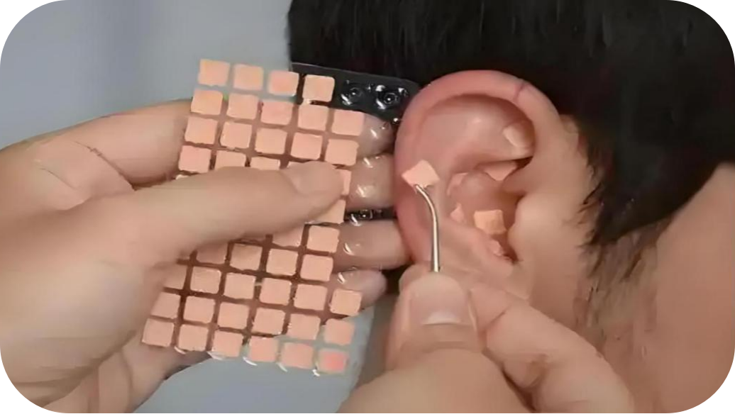 17422597714000.png 17422597714000.png