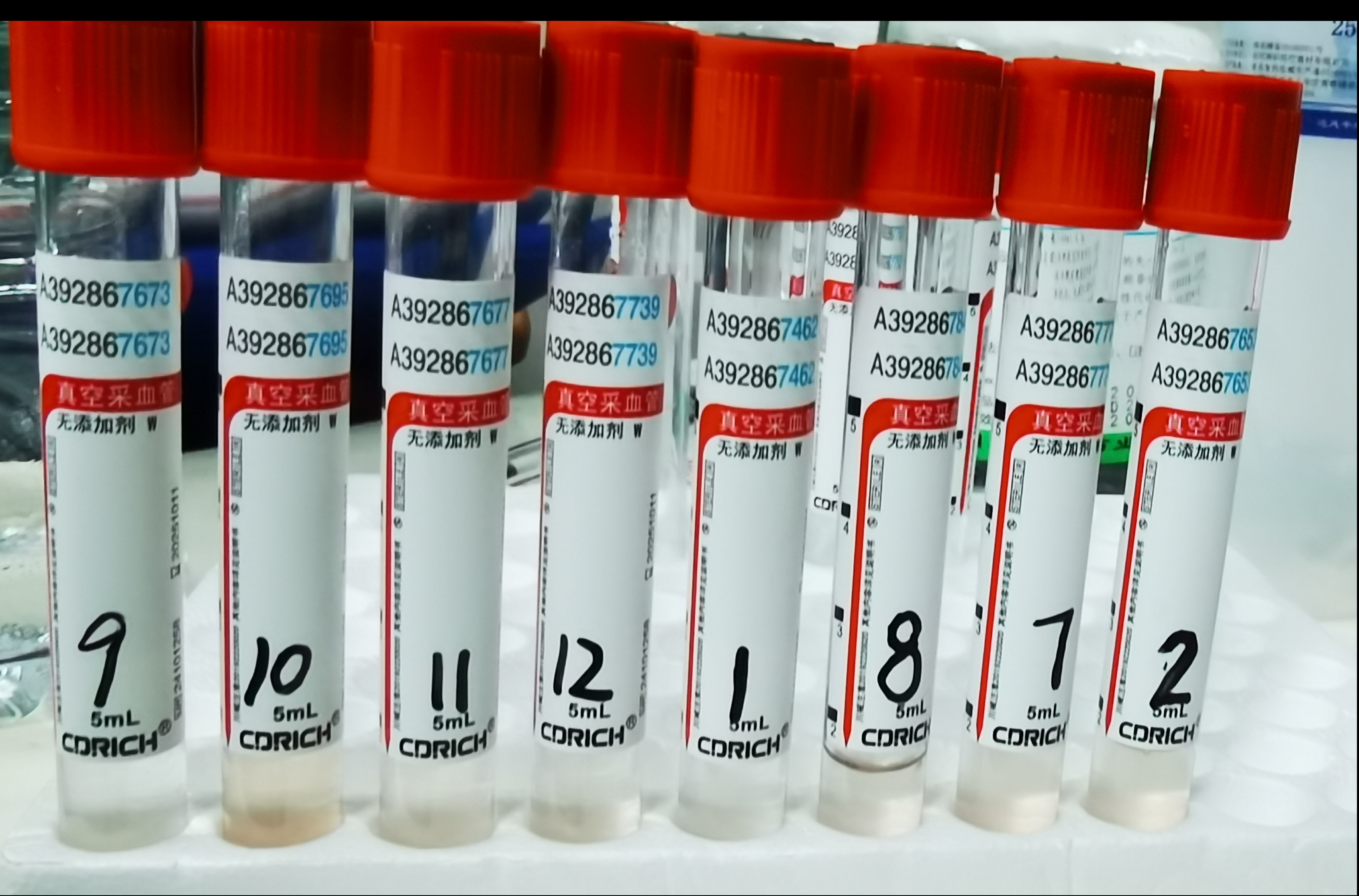 17430351531205.jpg 17430351531205.jpg