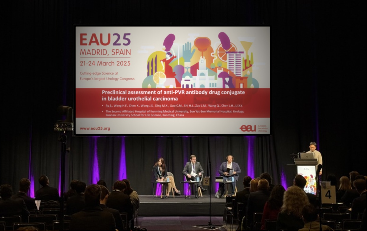 17433872588880.png 17433872588880.png