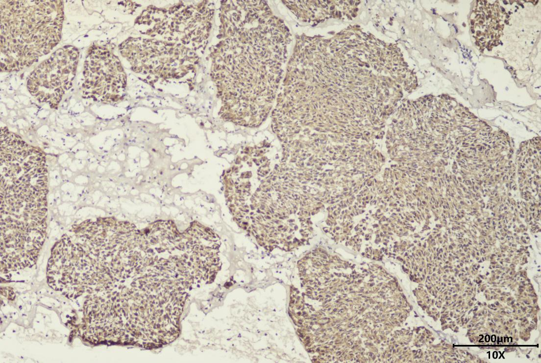 17550453929192.png 17550453929192.png