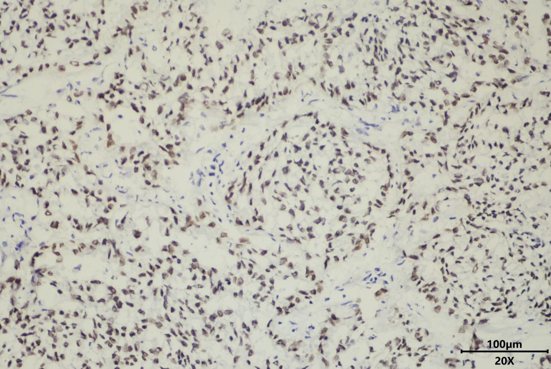 17550454356822.png 17550454356822.png