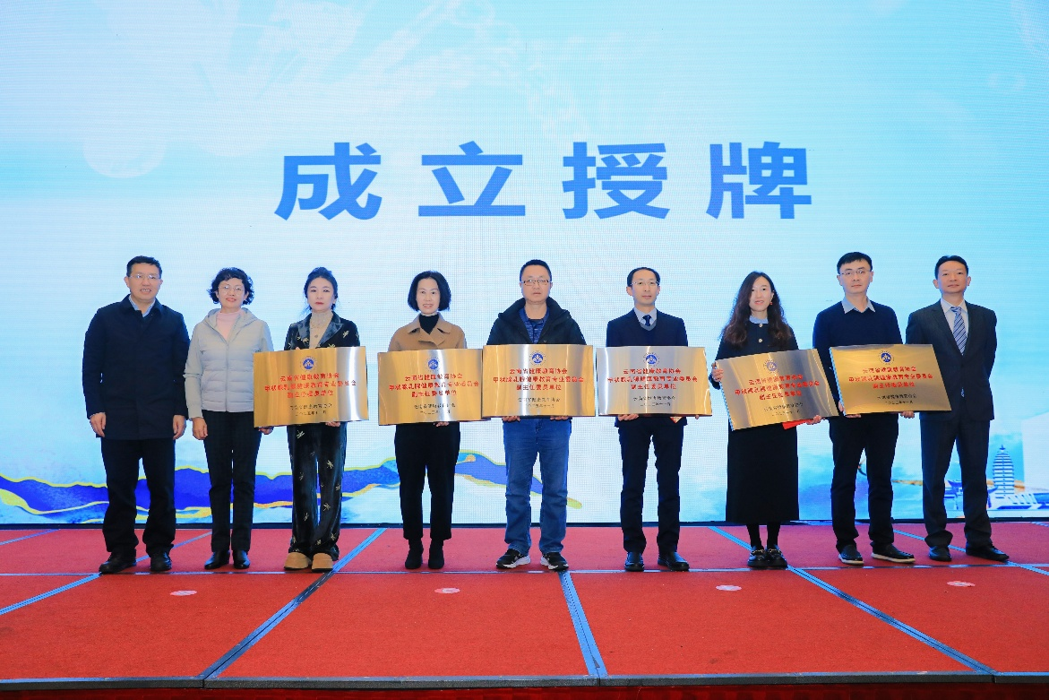 17641203869697.png 17641203869697.png