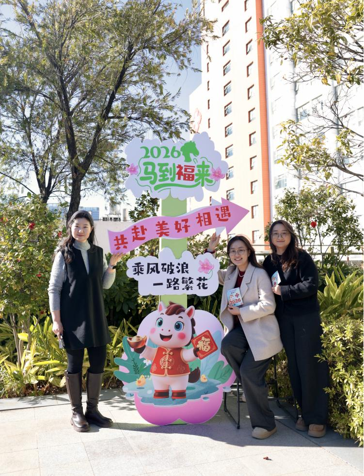 17709436074701.png 17709436074701.png