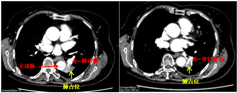 17724999485290.png 17724999485290.png