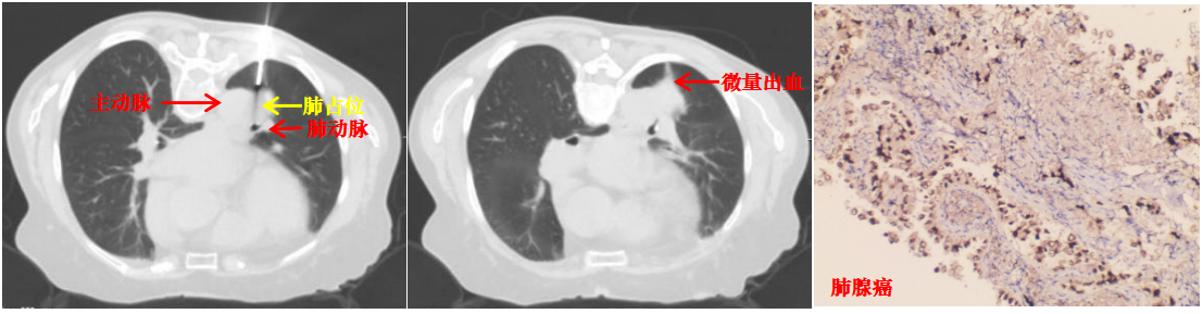 17724999768694.png 17724999768694.png